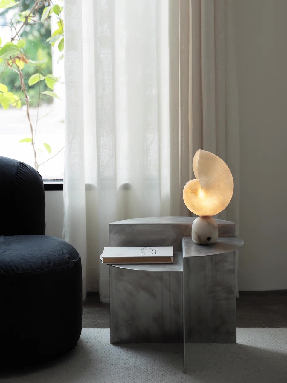 Volans, in a room