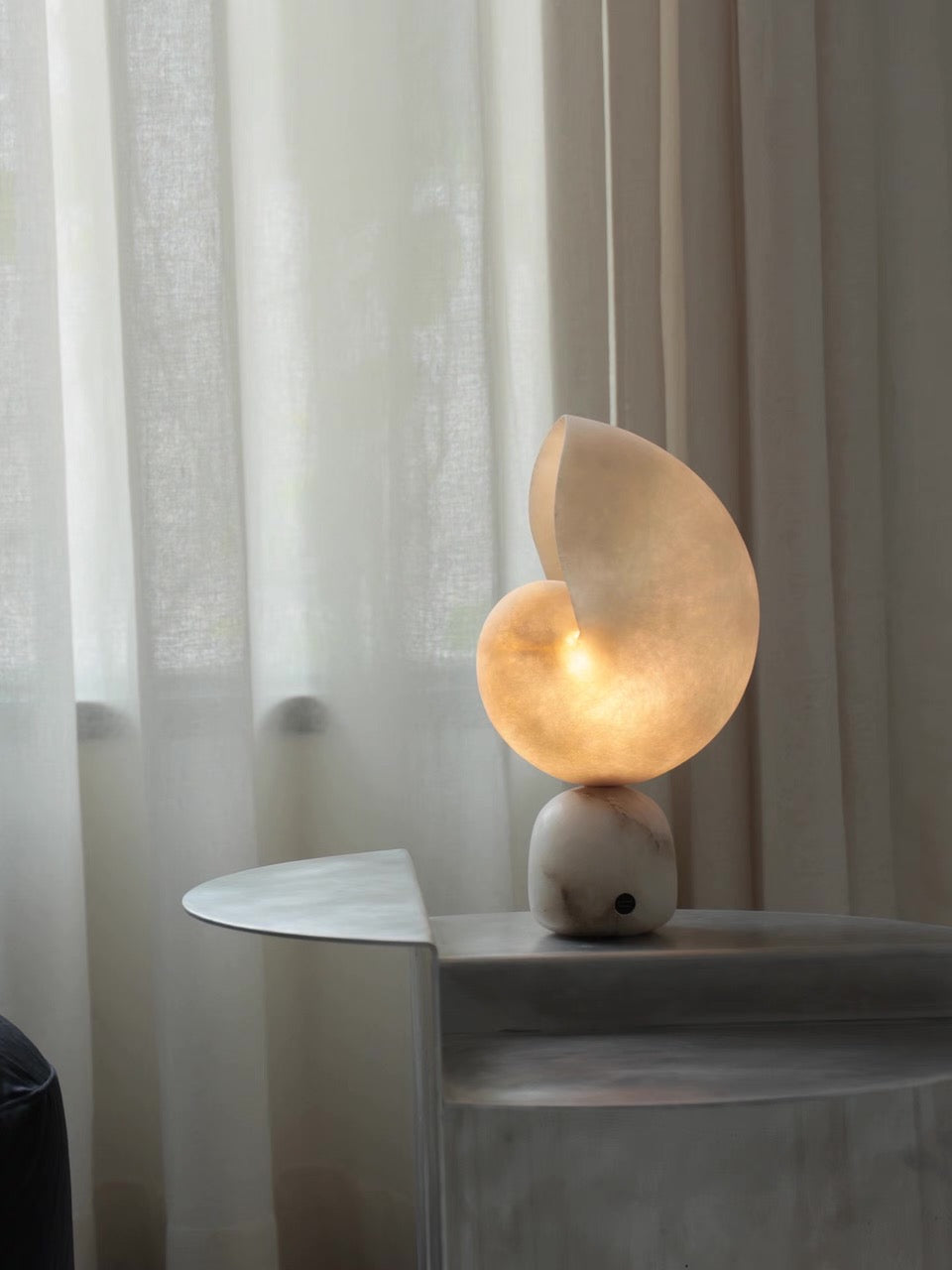 Volans, in a room
