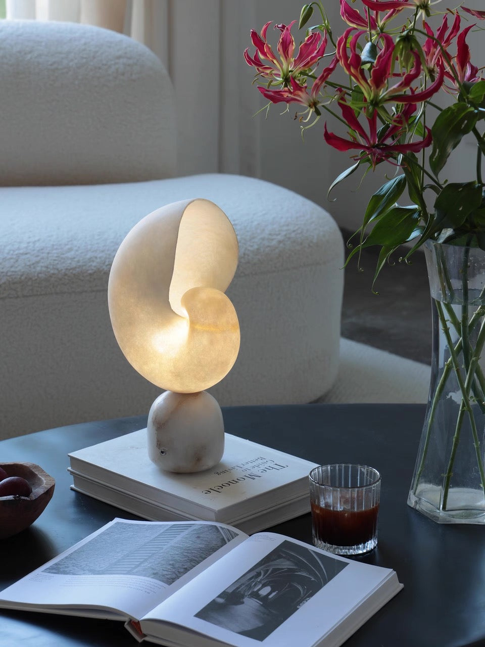 Volans, in a room
