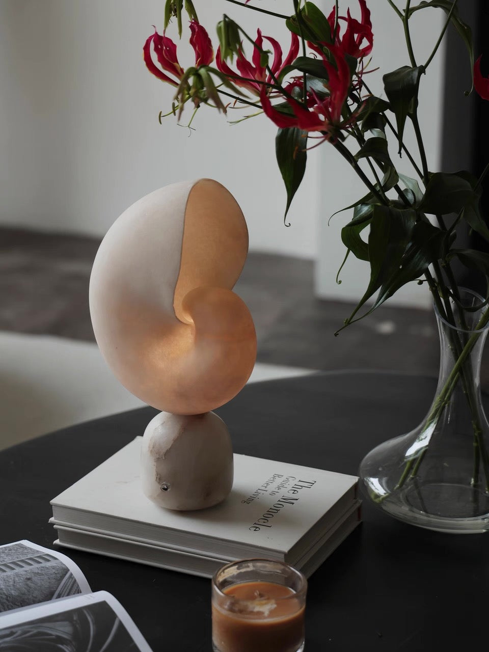 Volans, in a room