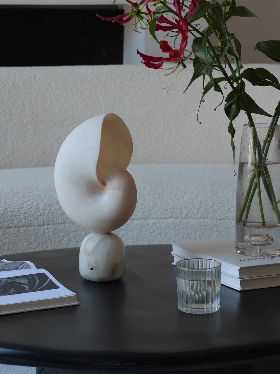 Volans, in a room