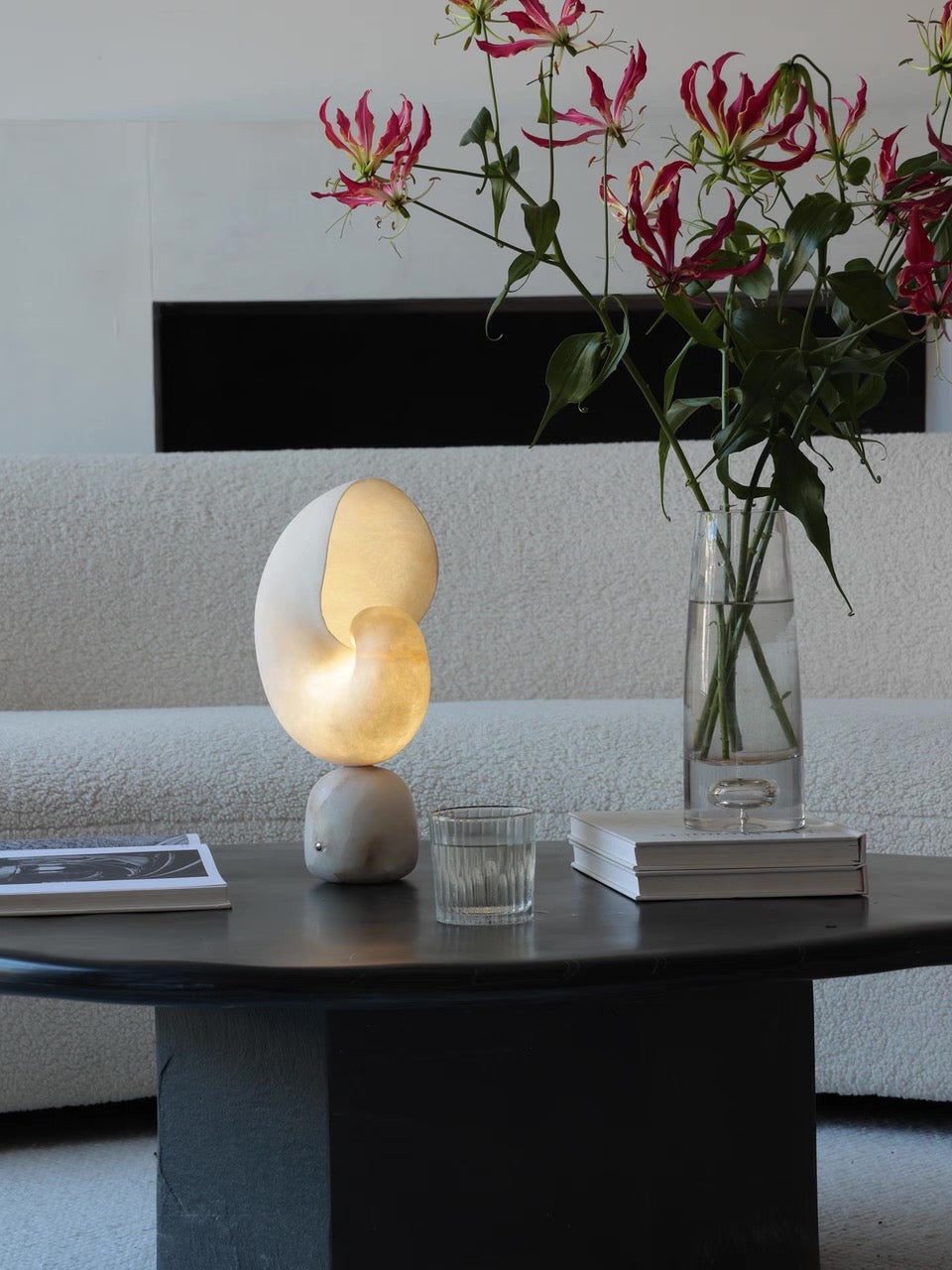 Volans, in a room