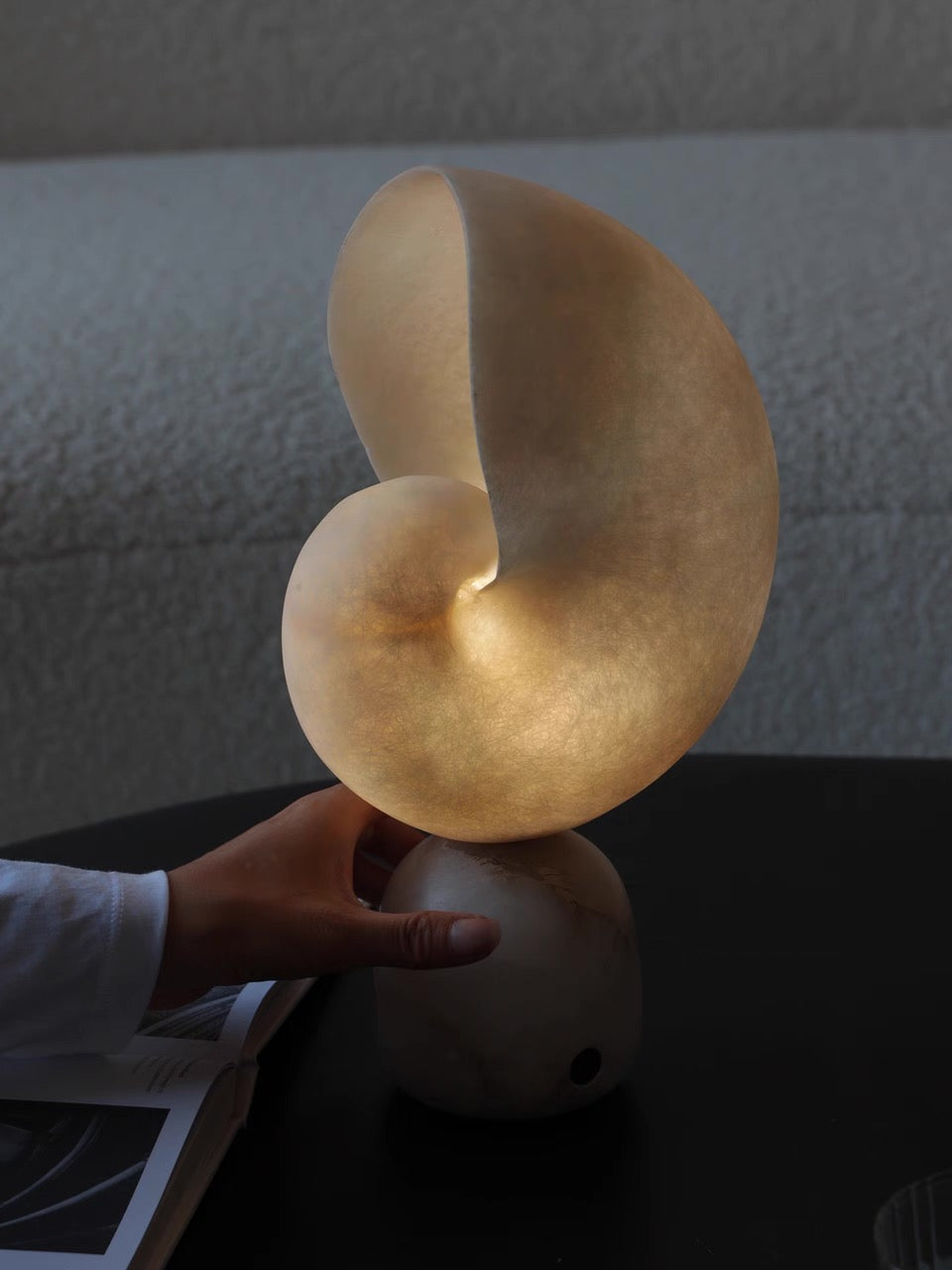 Volans, in a room