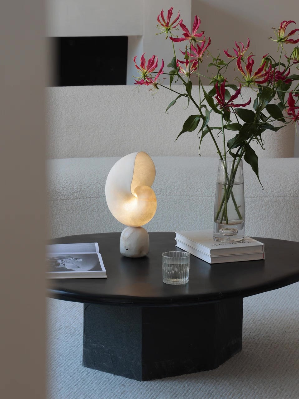Volans, in a room