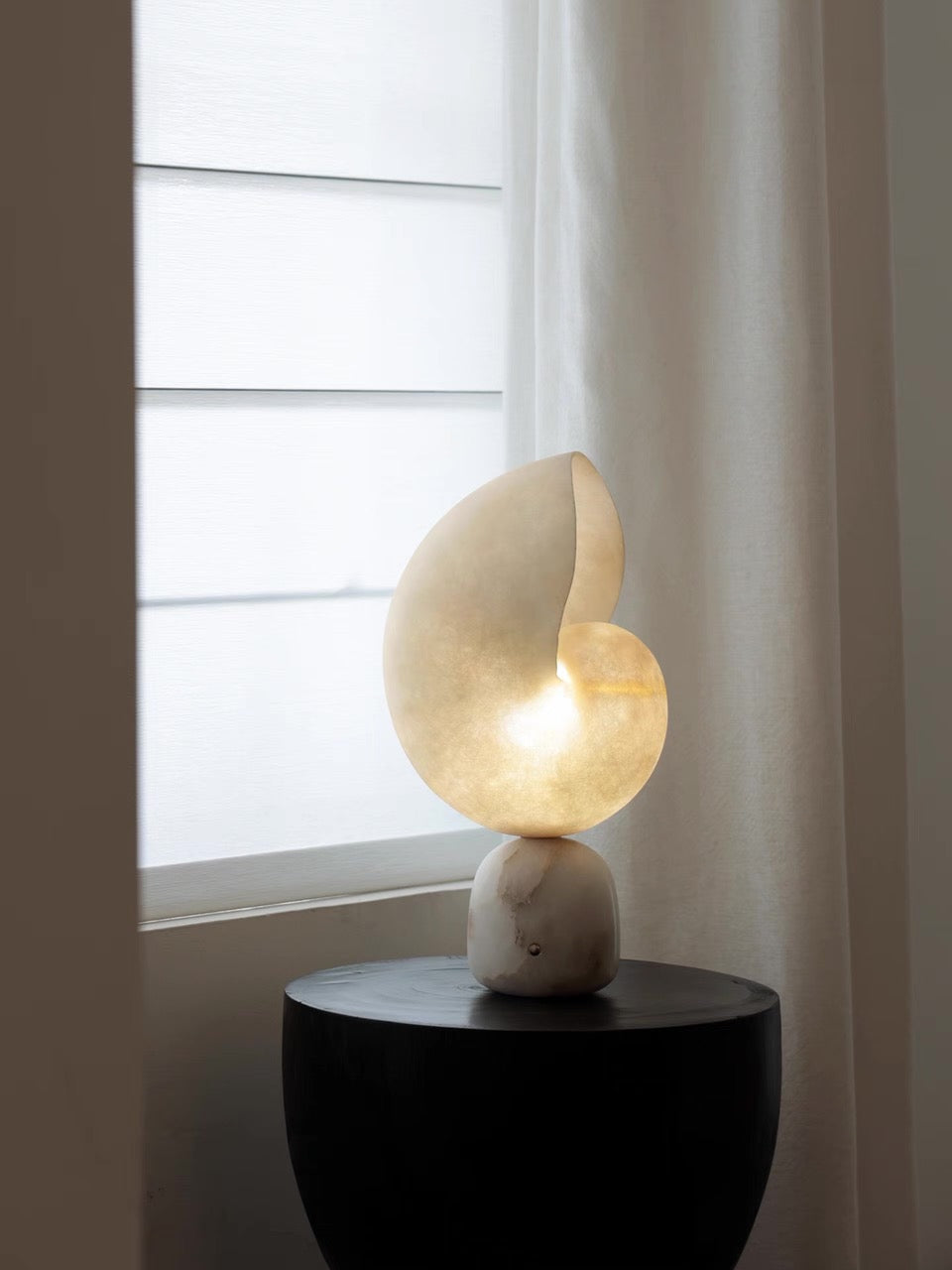 Volans, in a room