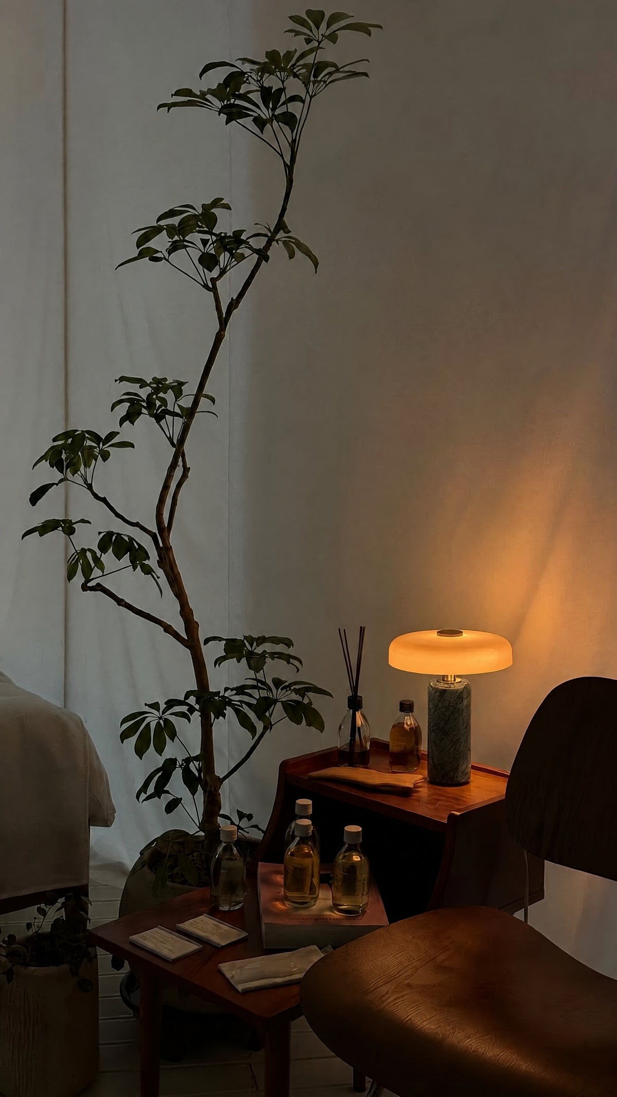 The Columba lamp lit on a teak cabinet in a calm treatment room, beside a reed diffuser and bottles of oil, with a tall plant.