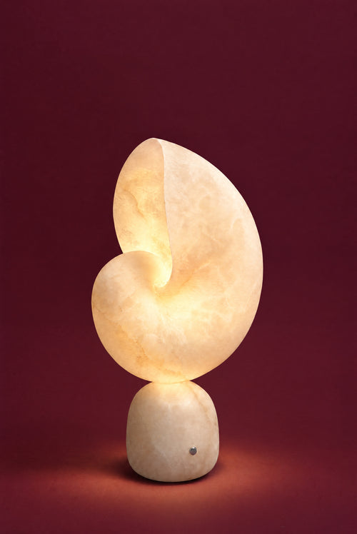 The Volans lamp, lit: the alabaster shell glowing warm cream-gold from deep in its curl, light pooling on the surface around the foot.